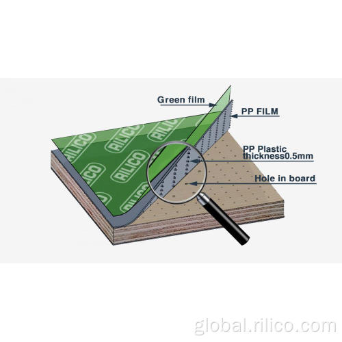 Pp Plastic Plywood High-quality Sustainable construction PP Plastic Plywood Manufactory